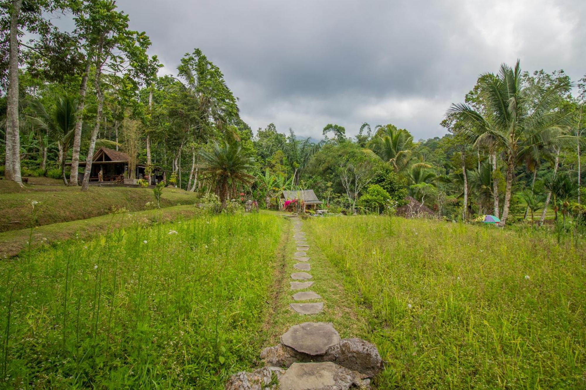 Pesona Bali Ecolodge By Agata Jatiluwih Bagian luar foto